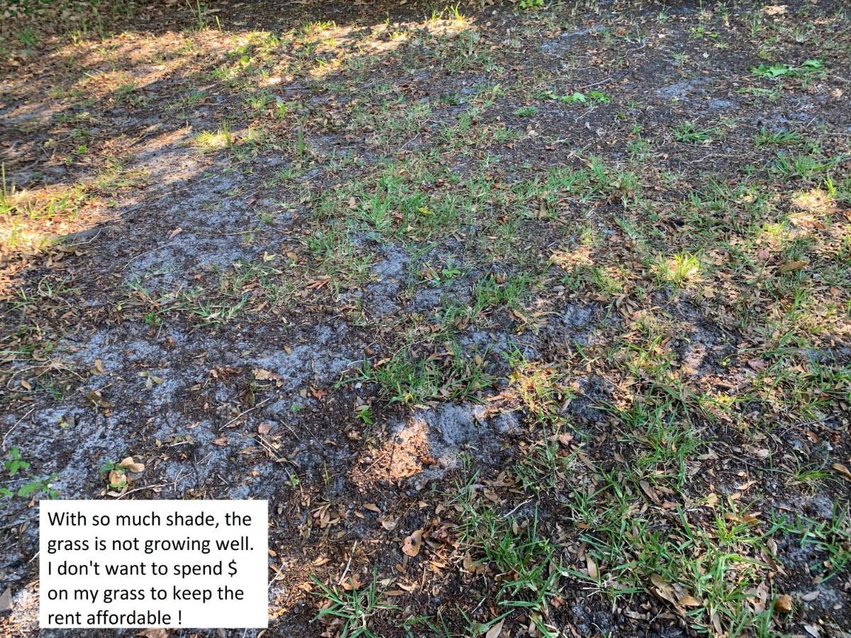 House 3br 1-bath, 8-min From Indian Rocks Beach, Park Thru Back Gate *